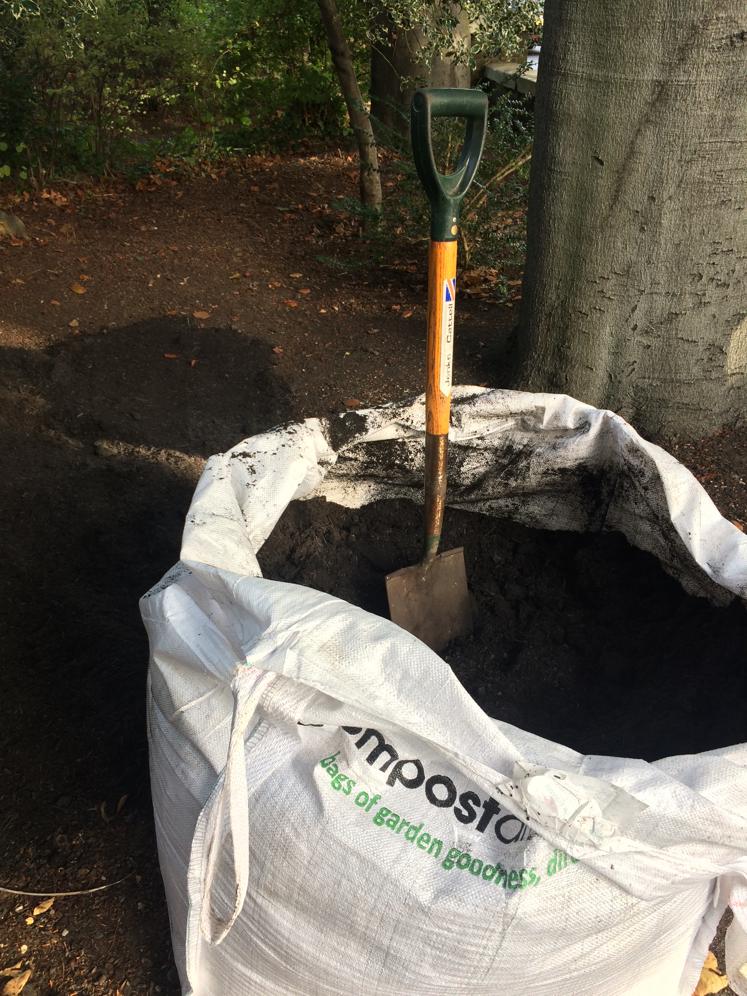 2B51262C-B974-4F85-9F3C-6297DAAAD5A9