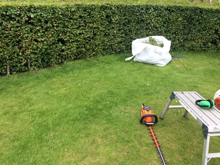 5E886966-9EBF-4E04-900A-12FA0E8BCD39