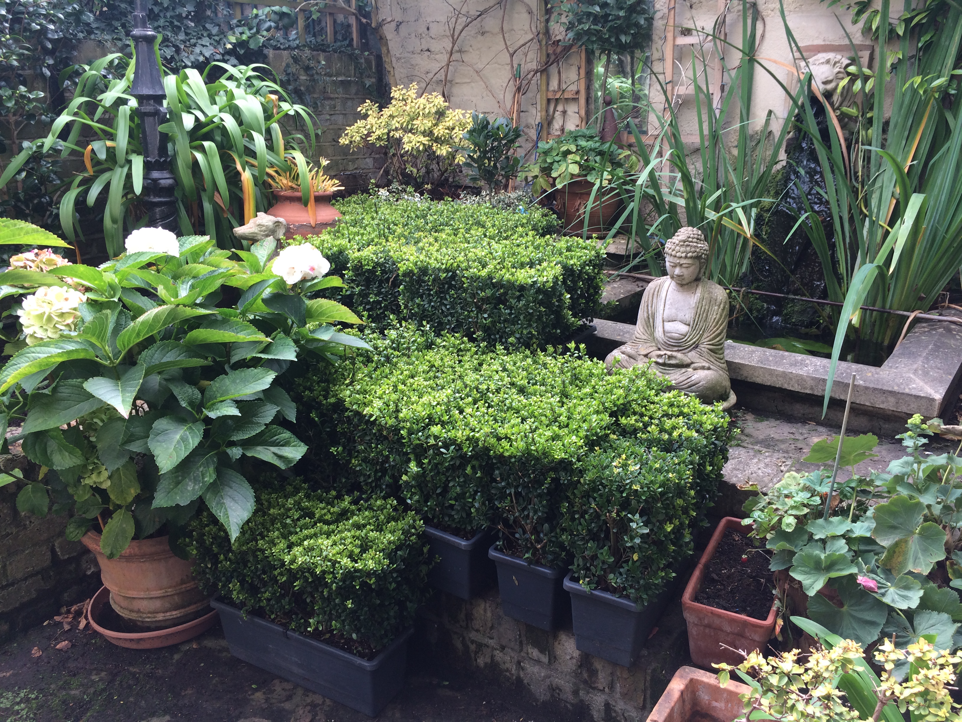 7C9FBE42-4043-4E36-8A68-D63E4DF1583B