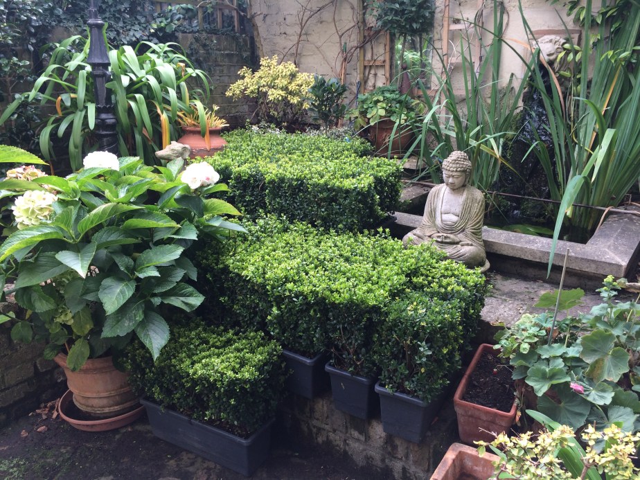 7C9FBE42-4043-4E36-8A68-D63E4DF1583B