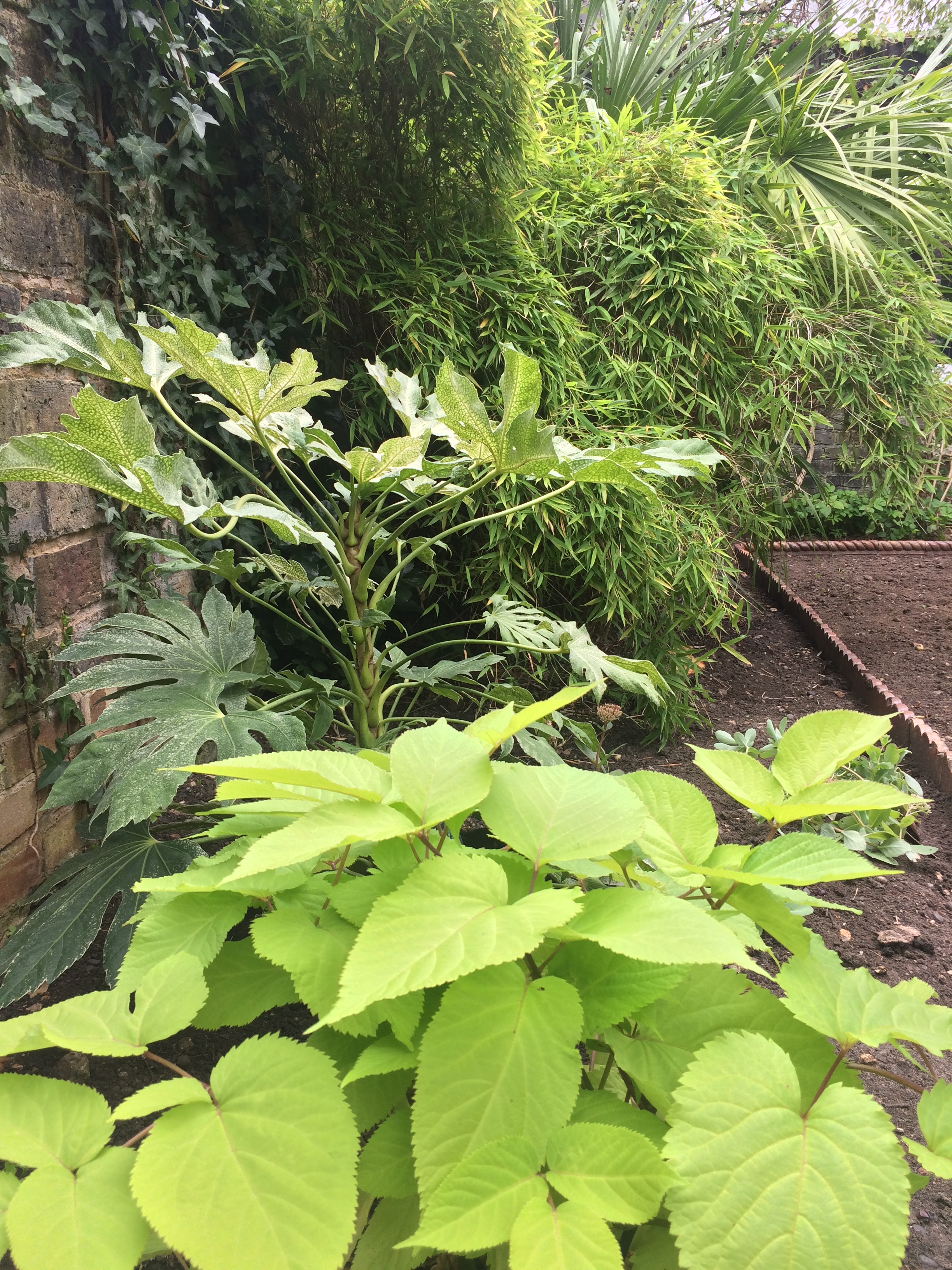 D1DB5C7F-393F-4731-A2CB-F5591D729239