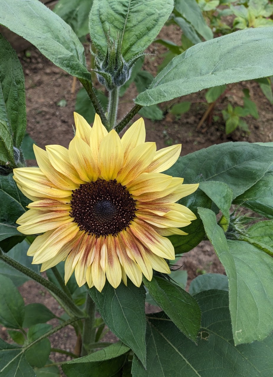 August 2024: Update / Work Locations / Quick&nbsp;Overview